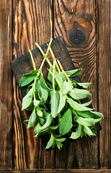 Daun mint segar — Stok Foto