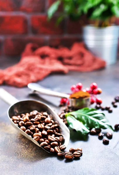 コーヒー生豆 — ストック写真