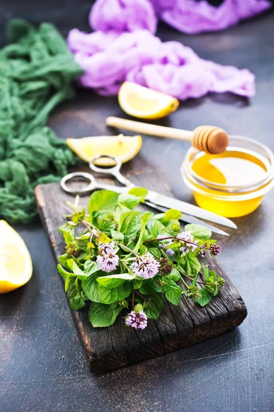 Ramas frescas de menta — Foto de Stock