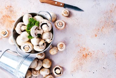 metal kovalar ham mantar yakından görmek