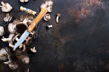 tablo üzerinde metal sepet içinde taze çiğ mantar 