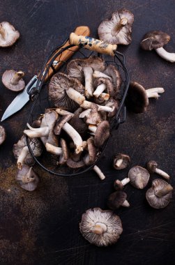tablo üzerinde metal sepet içinde taze çiğ mantar 