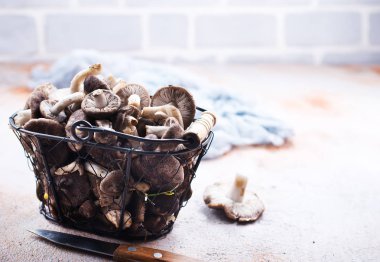 metal sepet içinde ham mantar bir tabloda görmek