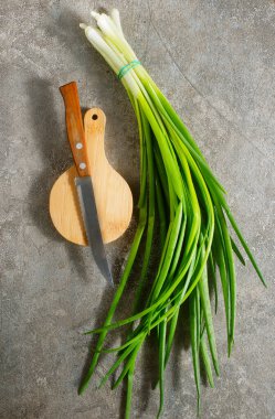 Gri arkaplanda salata için taze yeşil soğan