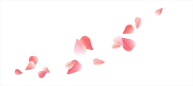 Beyaz izole pembe kırmızı uçan yaprakları. Sakura gül yaprakları. Vektör