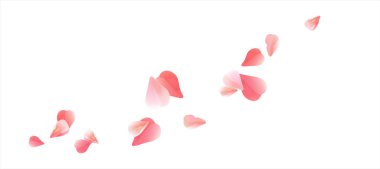 Pink Red flying petals isolated on white. Sakura Roses petals. Vector clipart