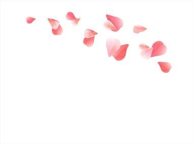 Beyaz izole pembe kırmızı uçan yaprakları. Sakura gül yaprakları. Vektör