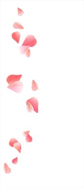 Beyaz izole pembe kırmızı uçan yaprakları. Sakura gül yaprakları. Vektör