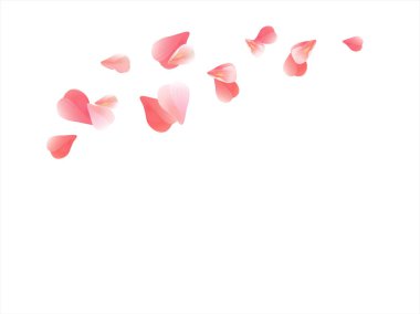 Pink Red flying petals isolated on white. Sakura Roses petals. Vector clipart