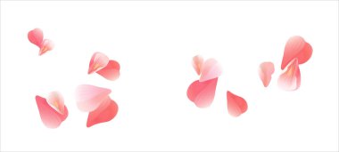 Beyaz izole pembe kırmızı uçan yaprakları. Sakura gül yaprakları. Vektör