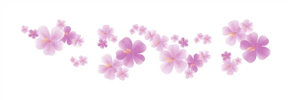 Fliegende hellrosa lila Blüten isoliert auf weißem Hintergrund. Ein Apfelbaum blüht. Kirschblüte. Vektor — Stockvektor