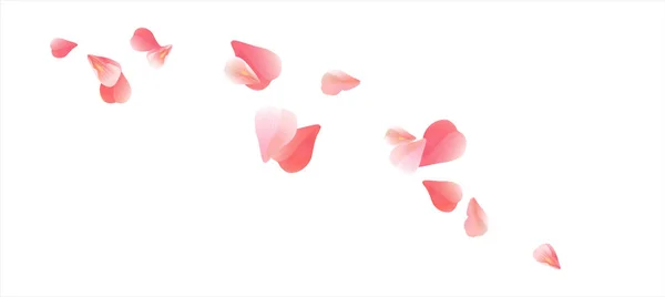 Beyaz izole pembe kırmızı uçan yaprakları. Sakura gül yaprakları. Vektör