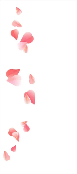 Beyaz izole pembe kırmızı uçan yaprakları. Sakura gül yaprakları. Vektör