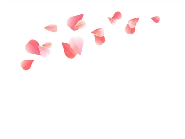 Beyaz izole pembe kırmızı uçan yaprakları. Sakura gül yaprakları. Vektör