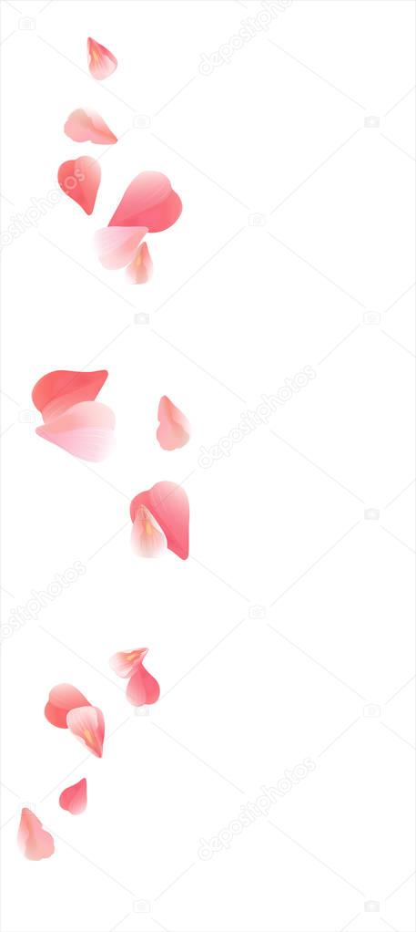 Pink Red flying petals isolated on white. Sakura Roses petals. Vector