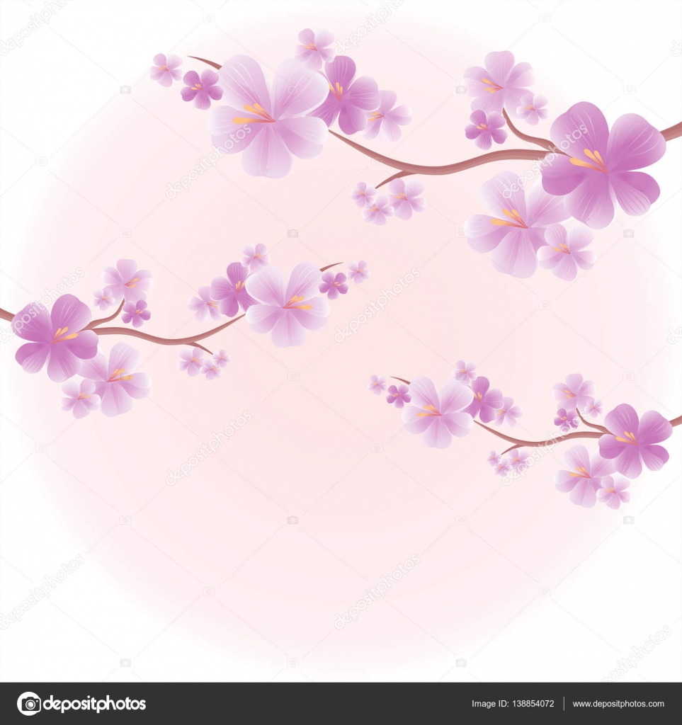 Disegno dei fiori Sfondo di fiori Fiori di melo Rami di sakura con