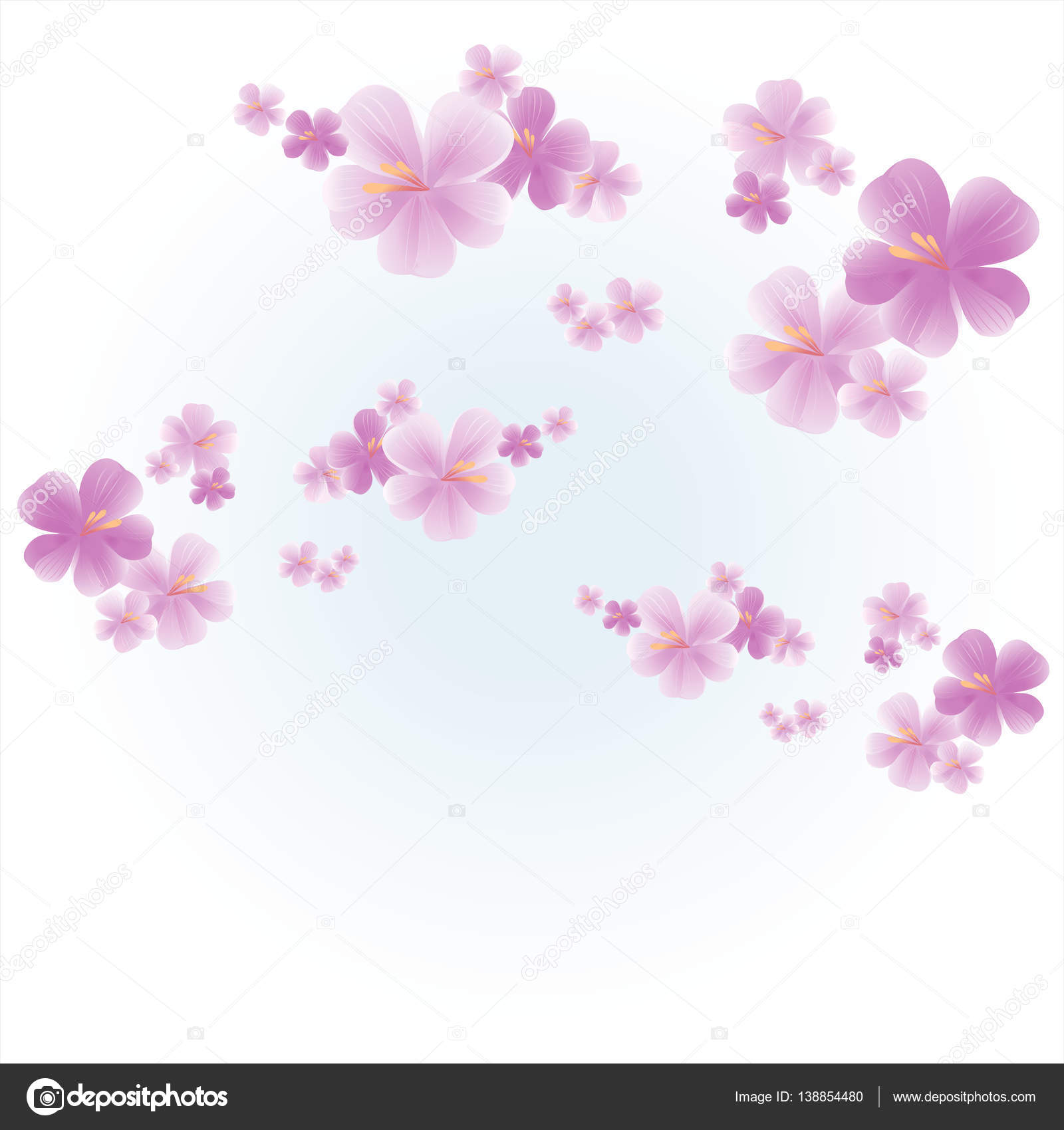 Sfondo di fiori Disegno dei fiori Fiori di melo Fiori di sakura isolato su priorit  bassa di colore azzurro Fiore di ciliegio