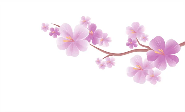 Fleurs de pommier. Branches de sakura isolées sur White. La fleur de cerisier. Vecteur — Image vectorielle