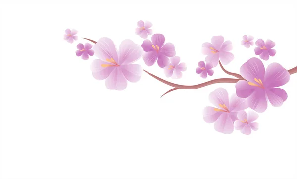 Apple träd blommor. Grenar av sakura isolerade på vitt. Körsbärsblommor. Vektor — Stock vektor