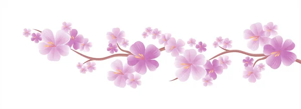Flores de manzano. Ramas de sakura aisladas en White. Flor de cerezo. Vector — Archivo Imágenes Vectoriales