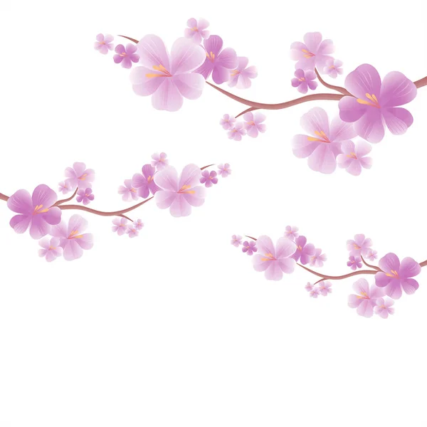 Fleurs de pommier. Branches de sakura isolées sur White. La fleur de cerisier. Vecteur — Image vectorielle
