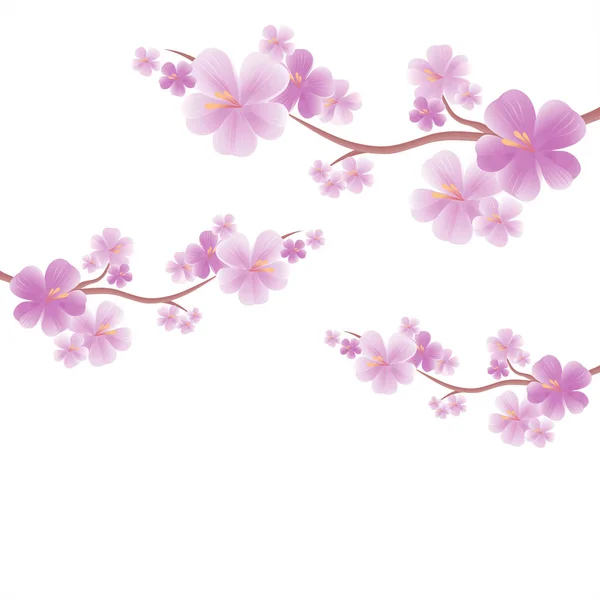 Elma ağacı çiçek. Dalları üzerinde beyaz izole sakura. Kiraz çiçeği. Vektör