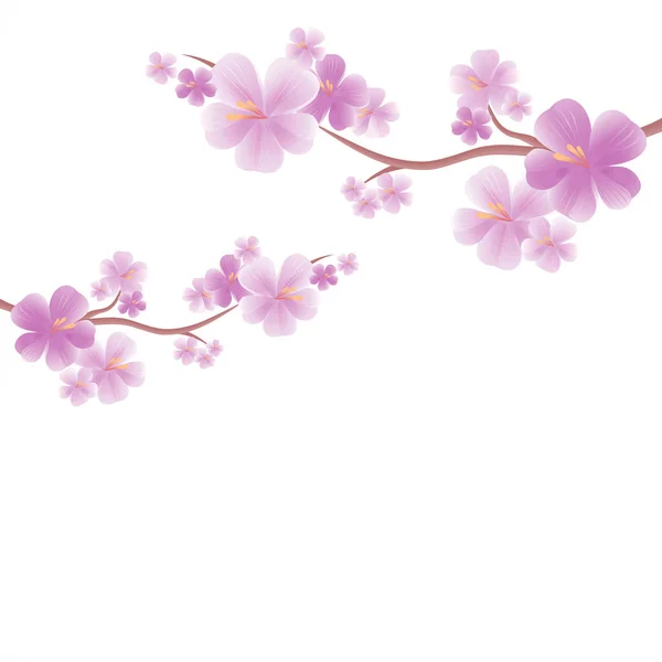 Flores de manzano. Ramas de sakura aisladas en White. Flor de cerezo. Vector — Vector de stock