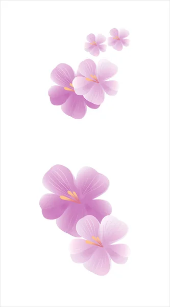 Blumen-Design. Blumen Hintergrund. Sakura fliegende Blumen isoliert auf weißem Hintergrund. Apfelbaumblüten. Kirschblüte. Vektor — Stockvektor