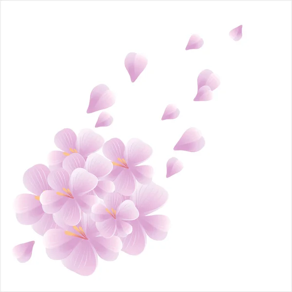 Conception de fleurs. Fond de fleurs. Bouquet de Sakura et pétales volants isolés sur fond blanc. Des fleurs de pommier. La fleur de cerisier. Vecteur — Image vectorielle