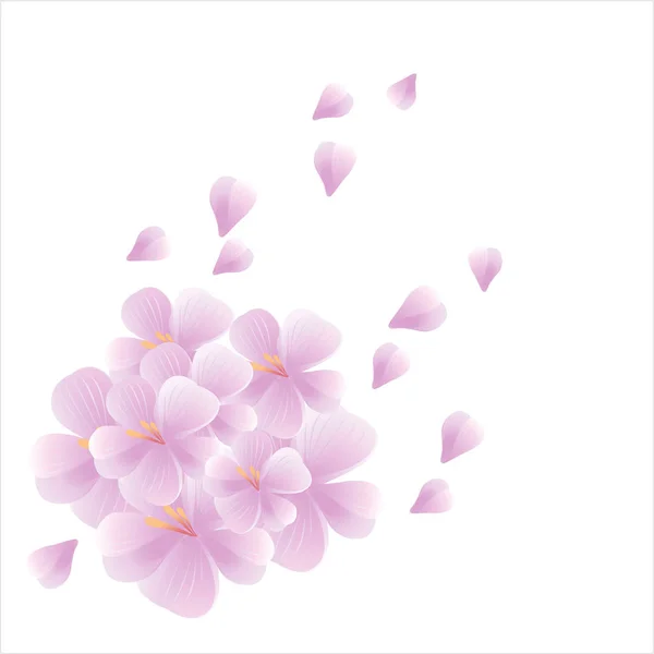 Diseño de flores. Fondo de flores. Ramo de Sakura y pétalos voladores aislados sobre fondo blanco. Flores de manzano. Flor de cerezo. Vector — Vector de stock