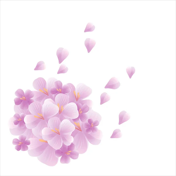 Blommor design. Blommor bakgrund. Bukett av Sakura och flygande blomblad isolerad på vit bakgrund. Äppelträd blommor. Körsbärsblommor. Vektor — Stock vektor