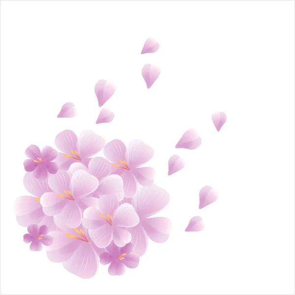 Blumen-Design. Blumen Hintergrund. Bouquet von Sakura und fliegenden Blütenblättern auf weißem Hintergrund. Apfelbaumblüten. Kirschblüte. Vektor — Stockvektor