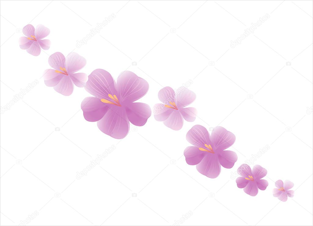 Flowers design. Flowers background. Sakura flying flowers isolated on white background. Apple-tree flowers. Cherry blossom. Vector