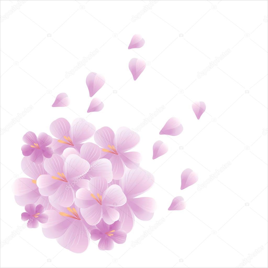 Flowers design. Flowers background. Bouquet of Sakura and flying petals isolated on white background. Apple-tree flowers. Cherry blossom. Vector