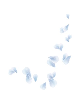 Beyaz mavi beyaz arka plan üzerinde izole yaprakları uçan. Sakura gül yaprakları. Vektör