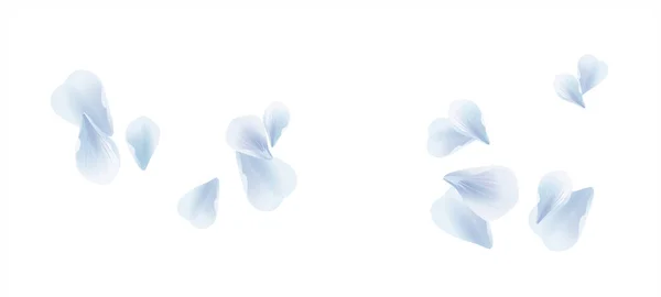 White Blue flying petals isolated on white background. Sakura Roses petals. Vector — Stock Vector