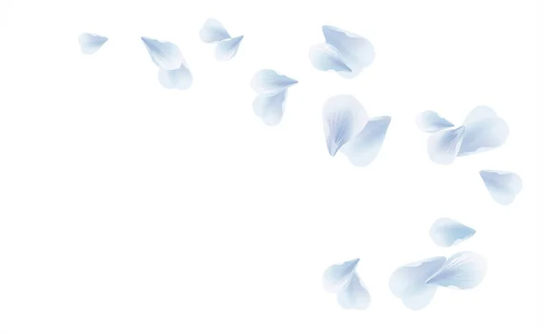 White Blue flying petals isolated on white background. Sakura Roses petals. Vector — Stock Vector