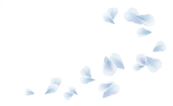 Bílá modrá létající lístků izolovaných na bílém pozadí. Okvětní lístky růží Sakura. Vektor — Stockový vektor