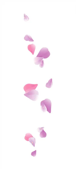 Violet Pink flying petals isolated on white background. Sakura Roses petals. Vector — Stock Vector