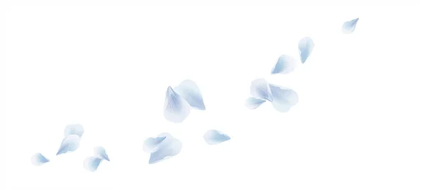 Λευκό μπλε Πετώντας πέταλα που απομονώνονται σε λευκό φόντο. Sakura τριαντάφυλλα πέταλα. Διάνυσμα — Διανυσματικό Αρχείο