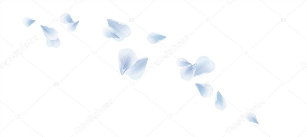 White Blue flying petals isolated on white background. Sakura Roses petals. Vector EPS 10 cmyk