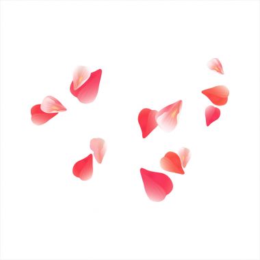 Kırmızı beyaz arka plan üzerinde izole yaprakları uçan Sakura. Yaprakları gül çiçek. Vektör Eps 10, cmyk