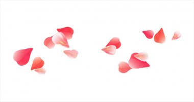 Kırmızı beyaz arka plan üzerinde izole yaprakları uçan Sakura. Yaprakları gül çiçek. Vektör Eps 10, cmyk