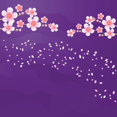 Sakura ve uçan yaprakları dalları mor Menekşe arka plan üzerinde izole. Elma ağacı çiçek. Kiraz çiçeği. Vektör Eps 10, cmyk