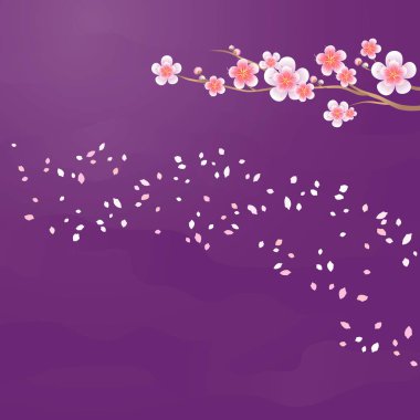 Mor Menekşe arka plan üzerinde izole Sakura ve dalı uçan yaprakları. Elma ağacı çiçek. Kiraz çiçeği. Vektör Eps 10, cmyk