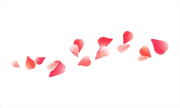 Сакура Червоного летить пелюстки ізольовані на білому тлі. Пелюстки троянд квіти. Векторні Eps 10, cmyk — стоковий вектор