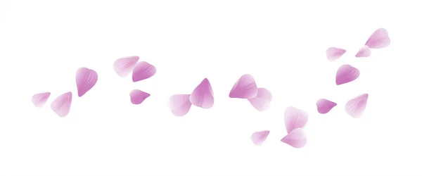 Yaprakları tasarım. Çiçek arka plan. Yaprakları gül çiçek. Beyaz arka plan üzerinde izole yaprakları uçan mor Menekşe Sakura. Vektör Eps 10, cmyk