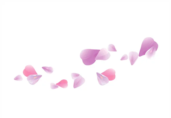 Diseño de pétalos. Fondo de flores. Pétalos Rosas Flores. Violeta púrpura Sakura pétalos voladores aislados sobre fondo blanco. Vector EPS 10, cmyk — Vector de stock