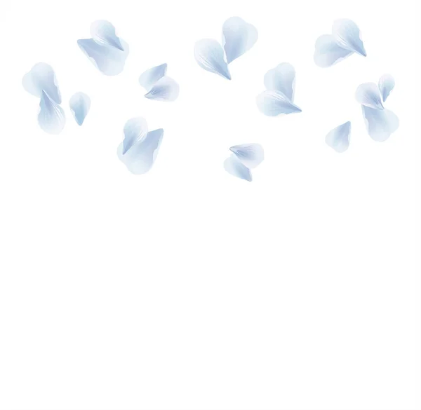 화이트 블루 꽃잎 흰색 배경에 고립 된 비행입니다. 사쿠라 장미 꽃잎입니다. 벡터 — 스톡 벡터