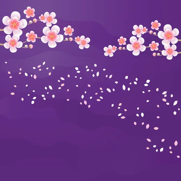 Sakura-Zweige und Blütenblätter fliegen vereinzelt auf violettem Purpur-Hintergrund. Apfelbaumblüten. Kirschblüte. Vektor eps 10, cmyk — Stockvektor